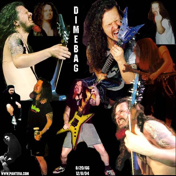 Dimebag Darrell tragedy